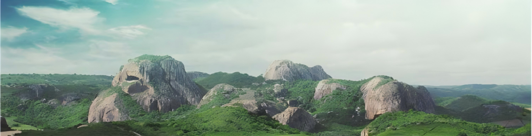 光伏出?！∶乐薰夥袌?、政策和規(guī)劃